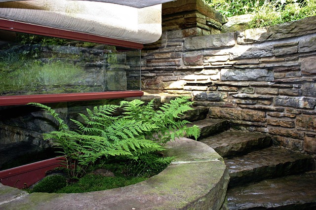 Free Architecture House photo and picture