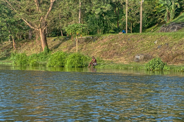 Africa, Nil, Uganda, Râu, Natura, Apă
