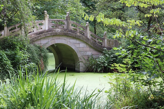 Brücke, Bauwerk, Architektur, Idylle