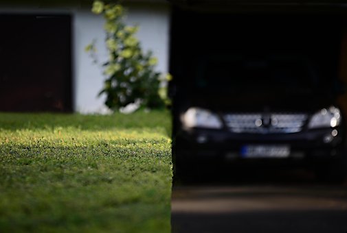 Free Grass Garden photo and picture
