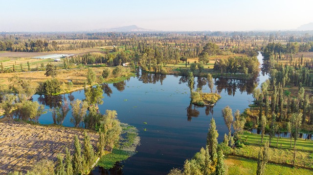 The chinampas of Xochimilco, artificial garden islands that once fed the great city of Tenochtitlan and are still farmed today.