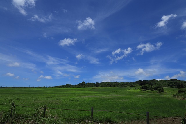 Blau, Himmel, Wolken, Gras, Reisen