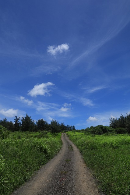 Blau, Himmel, Wolken, Gras, Reisen, Weg