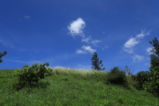 Sommer, Himmel, Wolken, Blau, Ferien