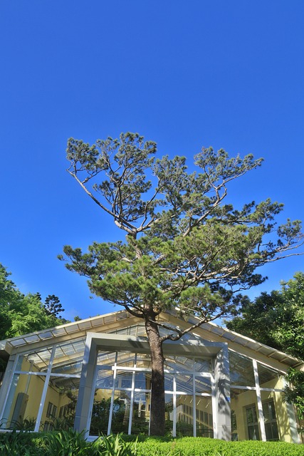 Baum, Haus, Blau, Himmel, Kabine