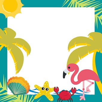 Tropisk, Flamingo, Baggrund, Fugl