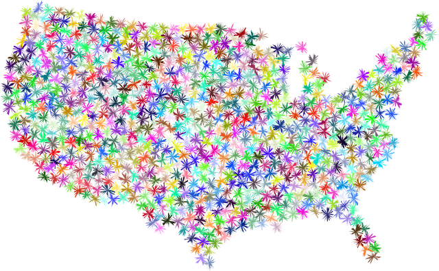 Free america map floral vector