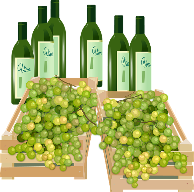 Free wine grapes cassette illustration