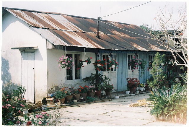 Free Old House Vintage House photo and picture