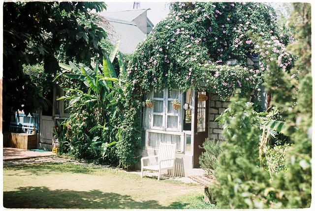 Free Tree House Nature House photo and picture