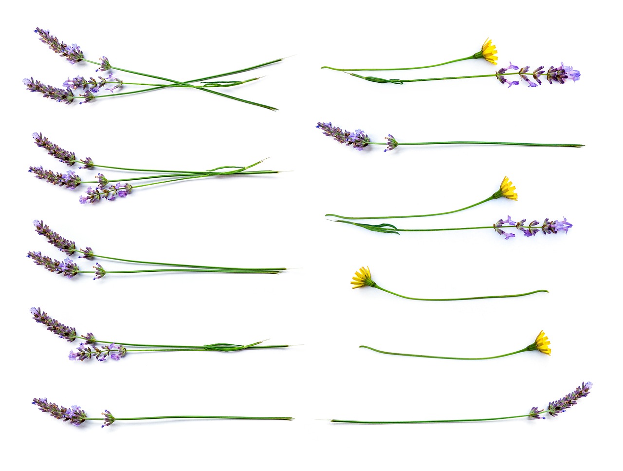 Simple - free online jigsaw puzzle photo