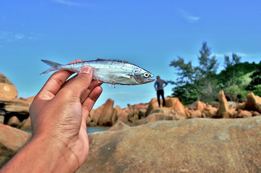 Fisk, Hånd, Individuel, Individualitet