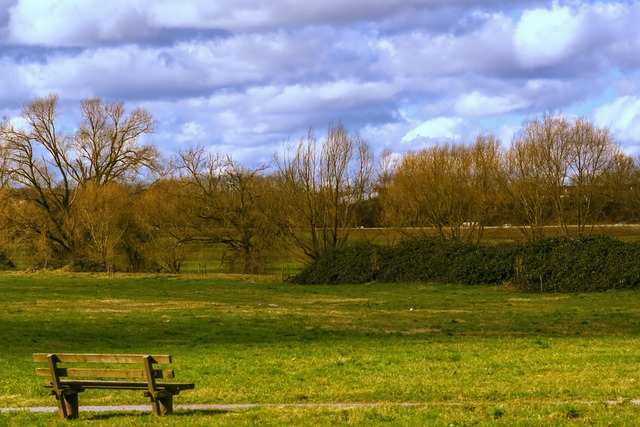 bank, lawn, trees, heaven, clouds, nature, park bench, grass, landscape, park, green, quiet, relaxation, wood, recreation, break, meditation, bench, outlook, enjoy, outdoors, serenity