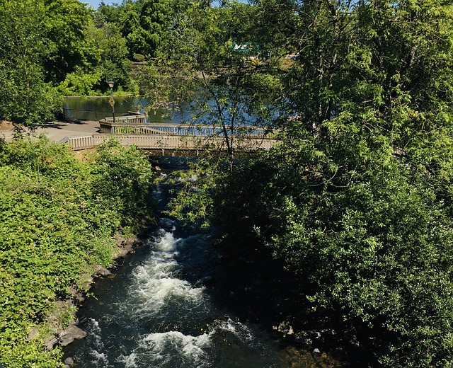 Free Stream Urban Stream photo and picture
