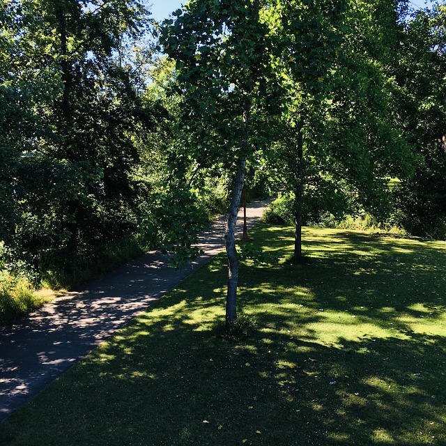 Free Park Path photo and picture