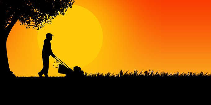 Rasen, Baum, Vektor, Natur, Silhouette