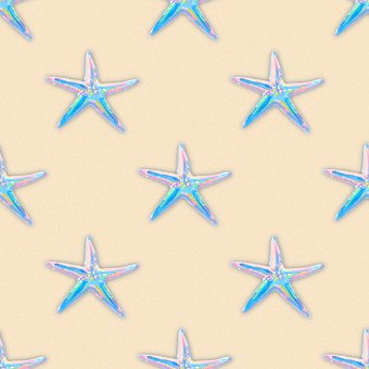 Free Starfish Sea Life photo and picture