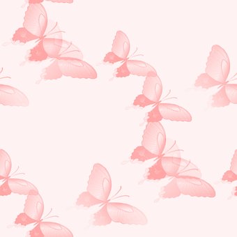 Free Butterfly Butterflies photo and picture