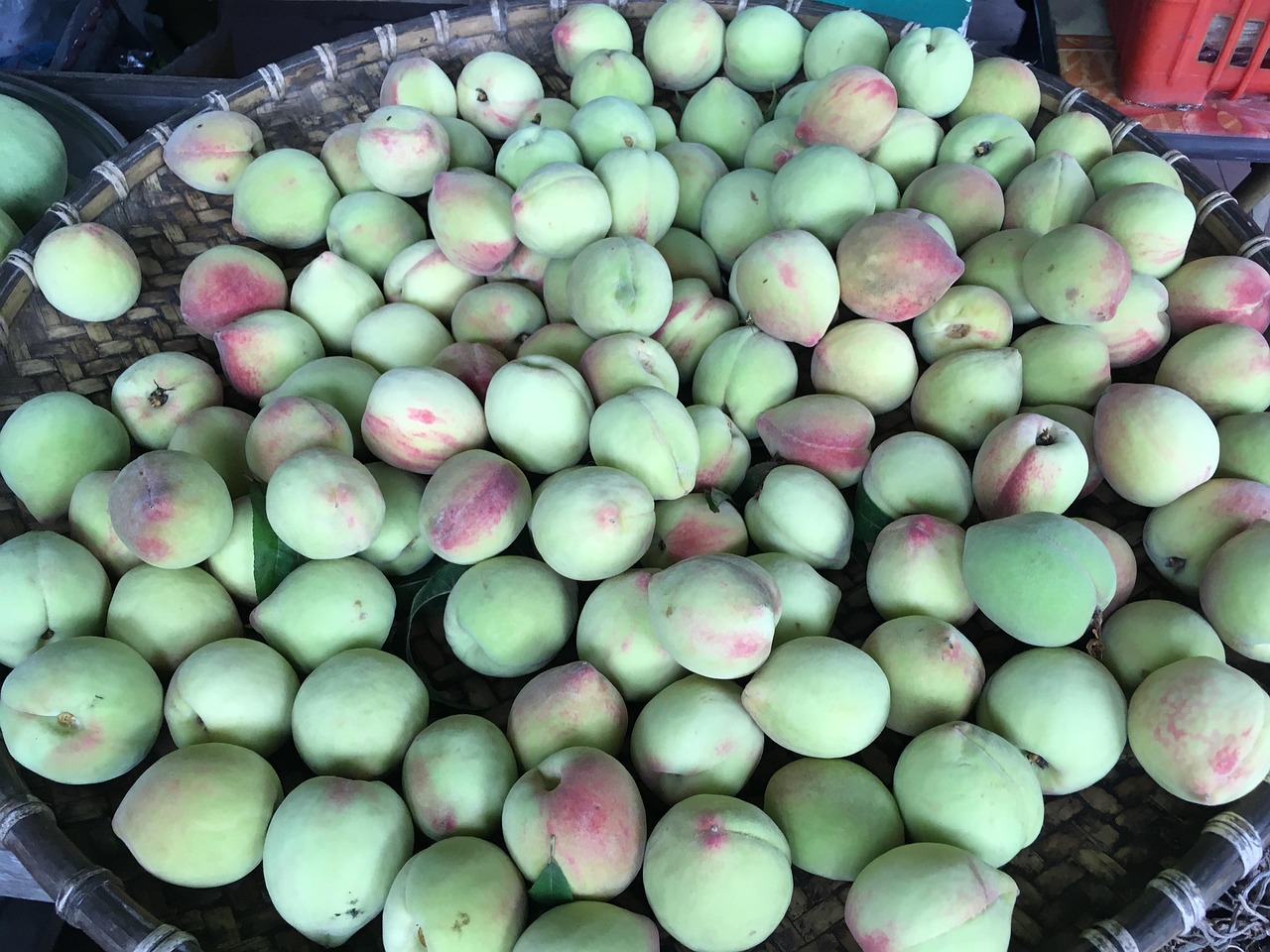 Peaches For Sale Free photo on Pixabay Pixabay