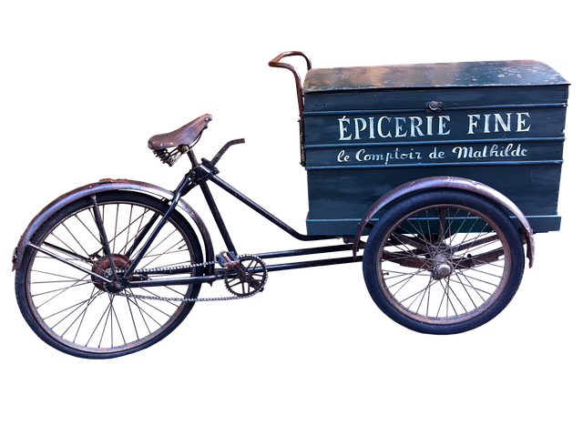 Free bike transport cycle illustration