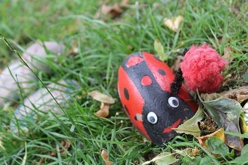 Free Ladybird Stones photo and picture