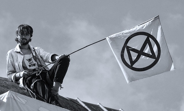 Free Protest Roof photo and picture