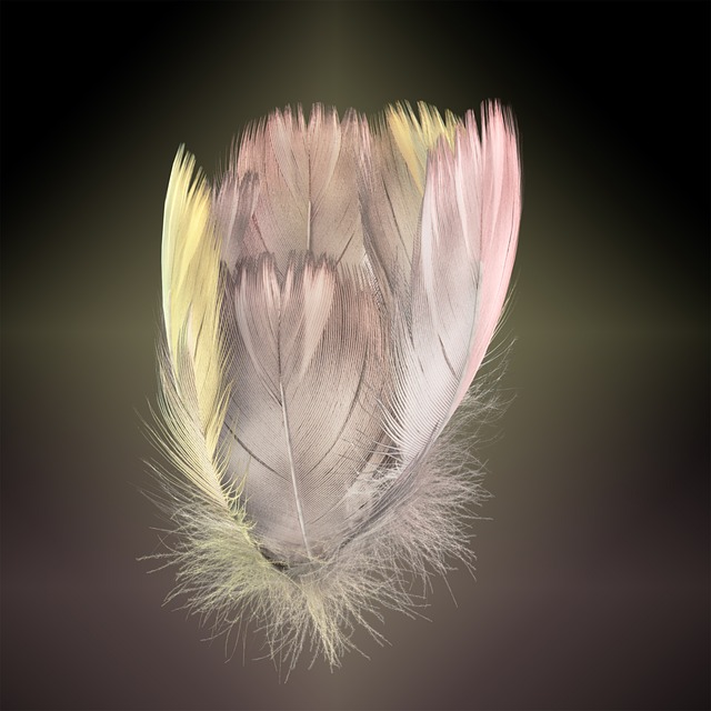 Gefieder, Blüte, Gelb, Rosa, Natur