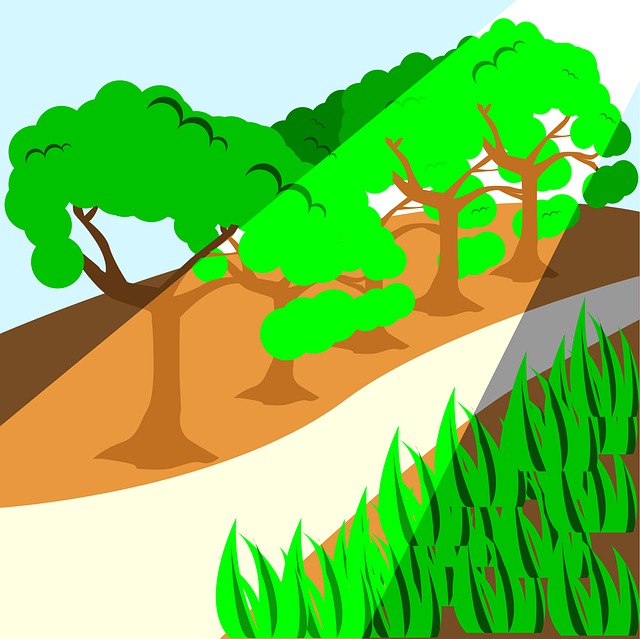 Download Tree Natural Nature Royalty-Free Stock Illustration Image ...