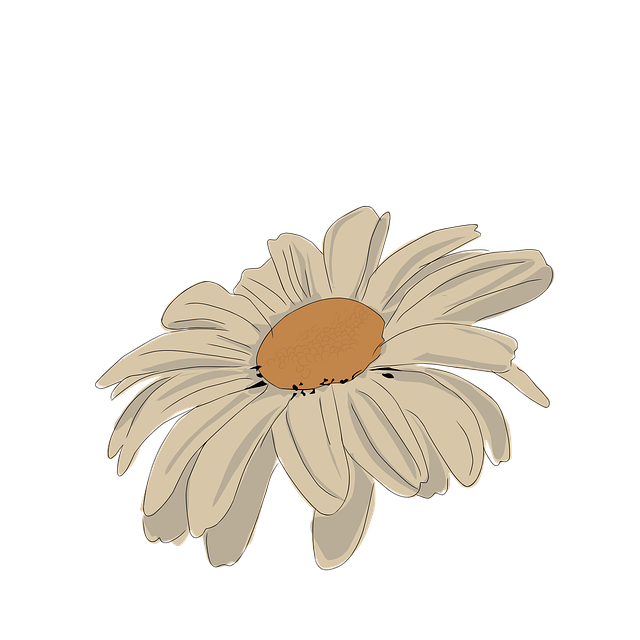 Floare, Natura, Floral, Romantism