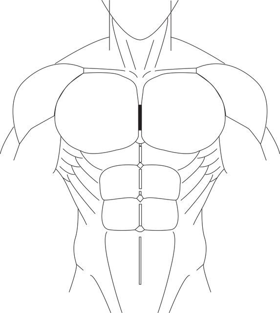 Free mussel line art body illustration