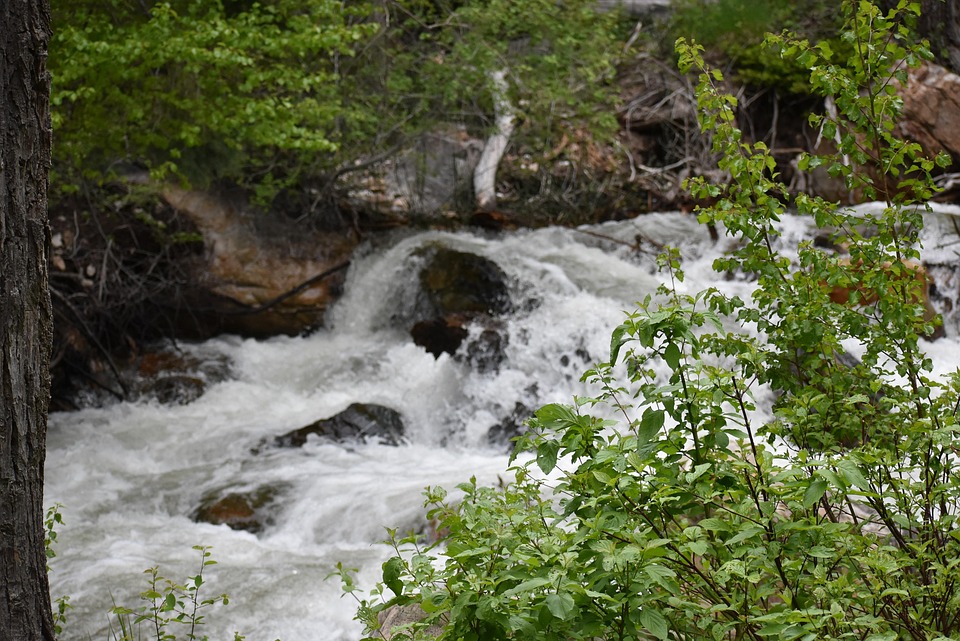 Salt Lake City Millcreek Free photo on Pixabay