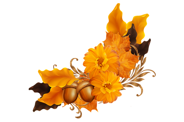Free oak acorn nature illustration