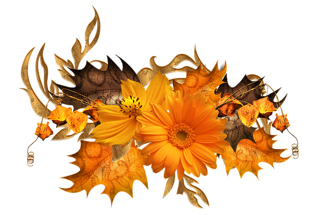 Free flowers daisy nature illustration