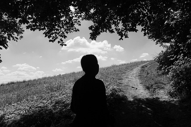 Silhuette, Weg, Wandern, Natur, Pfad