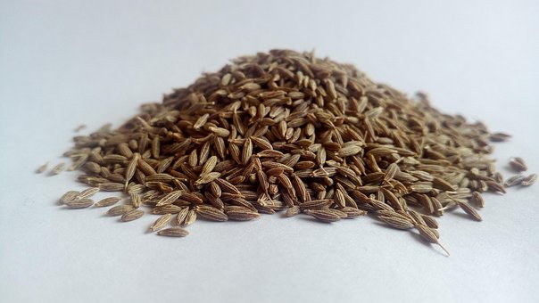 Free Cumin White Cumin photo and picture