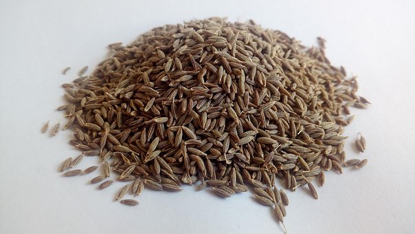 Free Cumin White Cumin photo and picture