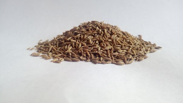 Free Cumin White Cumin photo and picture
