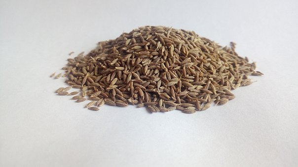 Free Cumin White Cumin photo and picture