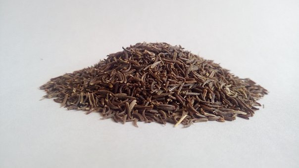 Free Cumin Black Cumin photo and picture