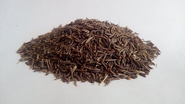 Free Cumin Black Cumin photo and picture