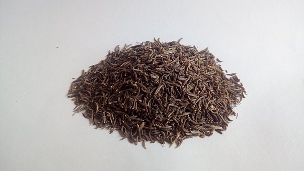 Free Cumin Black Cumin photo and picture