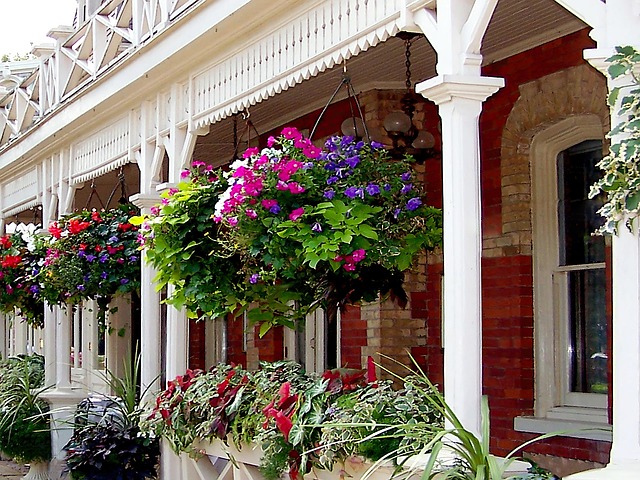 Free Flowers Colorful photo and picture