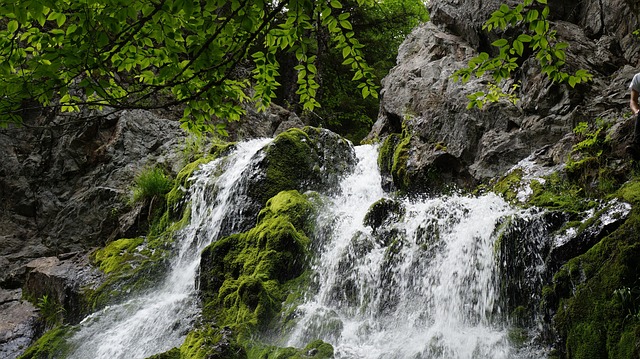 Free Waterfall Falls photo and picture