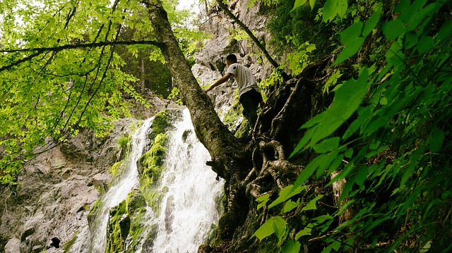 Free Waterfall Falls photo and picture