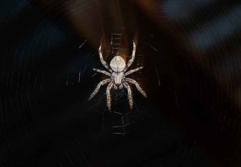 100 Free Dark Web Dark Images Pixabay