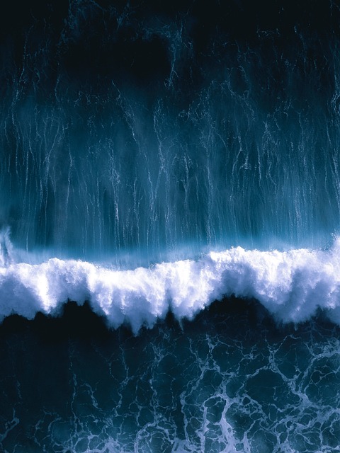 Free Ocean Nature photo and picture