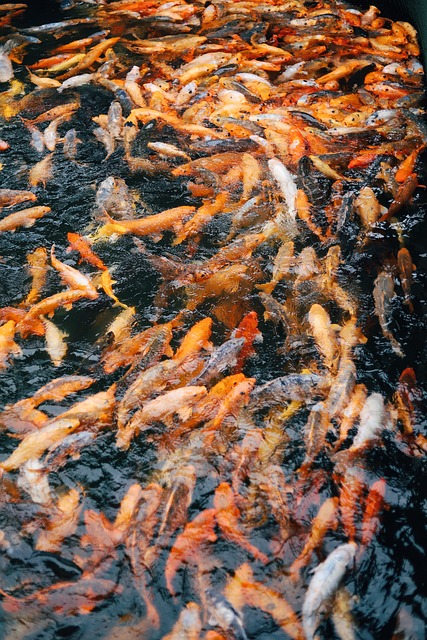 Free Nature Ocean photo and picture