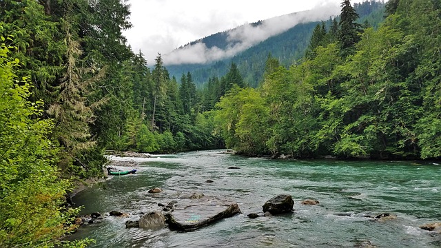 Free Sauk River Darrington Wa photo and picture