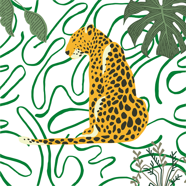 Leopard, Dschungel, Tierwelt, Tier