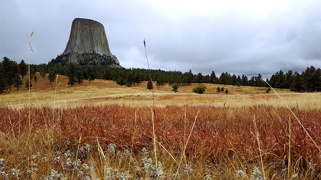 Free Devils Tower Landscape photo and picture